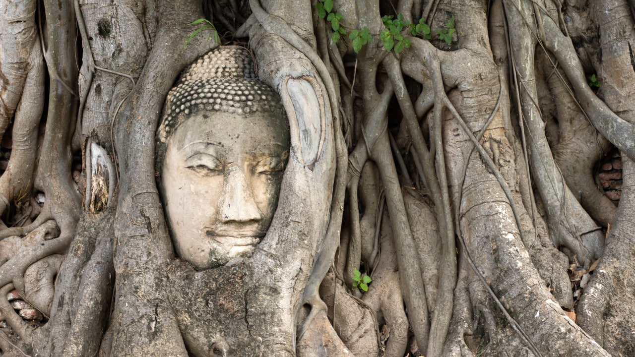 ayutthaya-buddha-head-in-tree-roots-buddhist